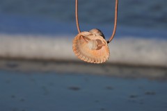 Schelp met glaskraal