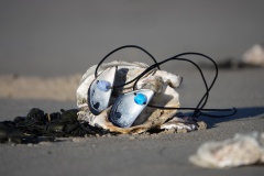 Mossel ketting (2)
